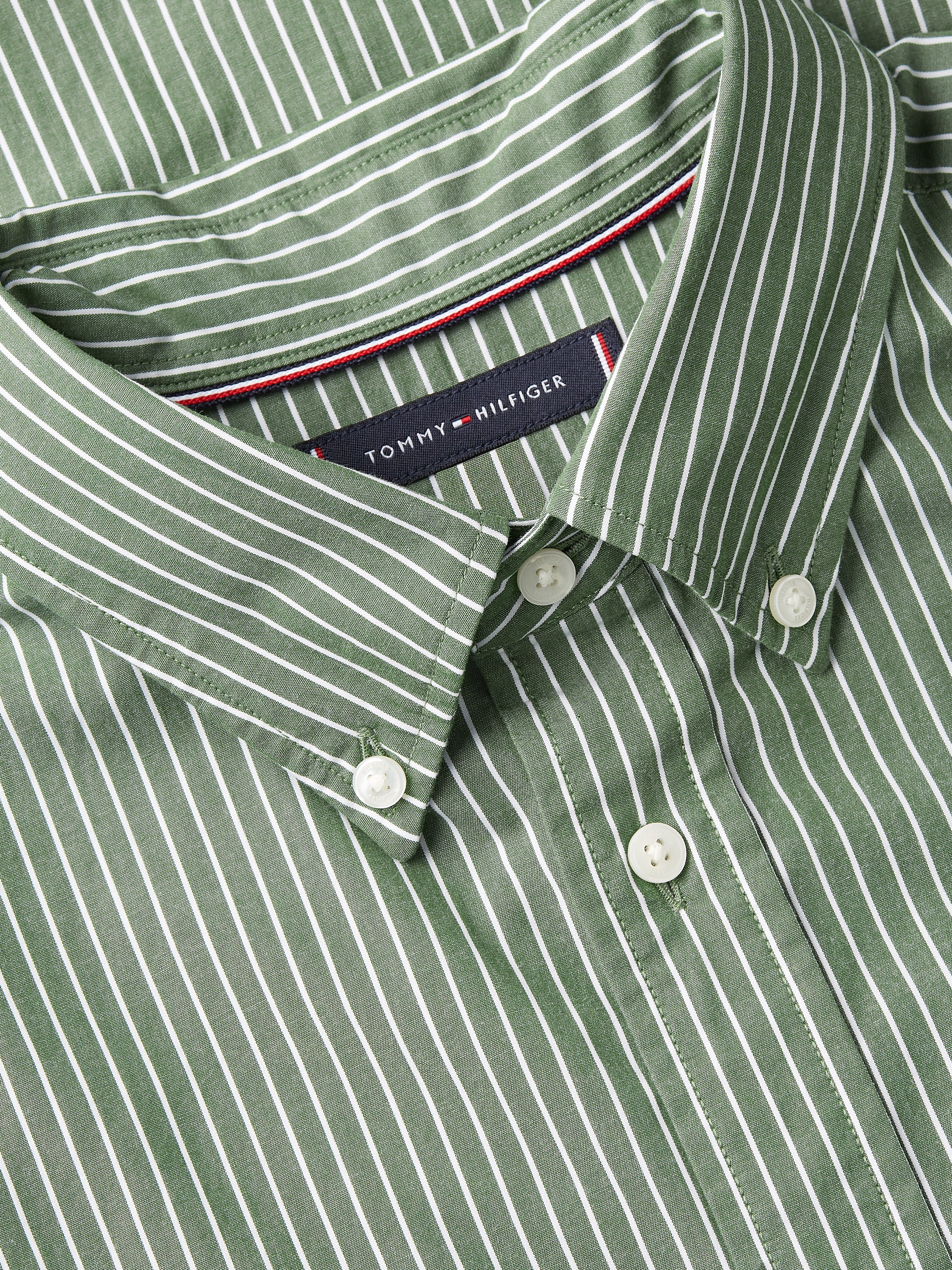 Hairlin Poplin Shirt PINE/STRIPE